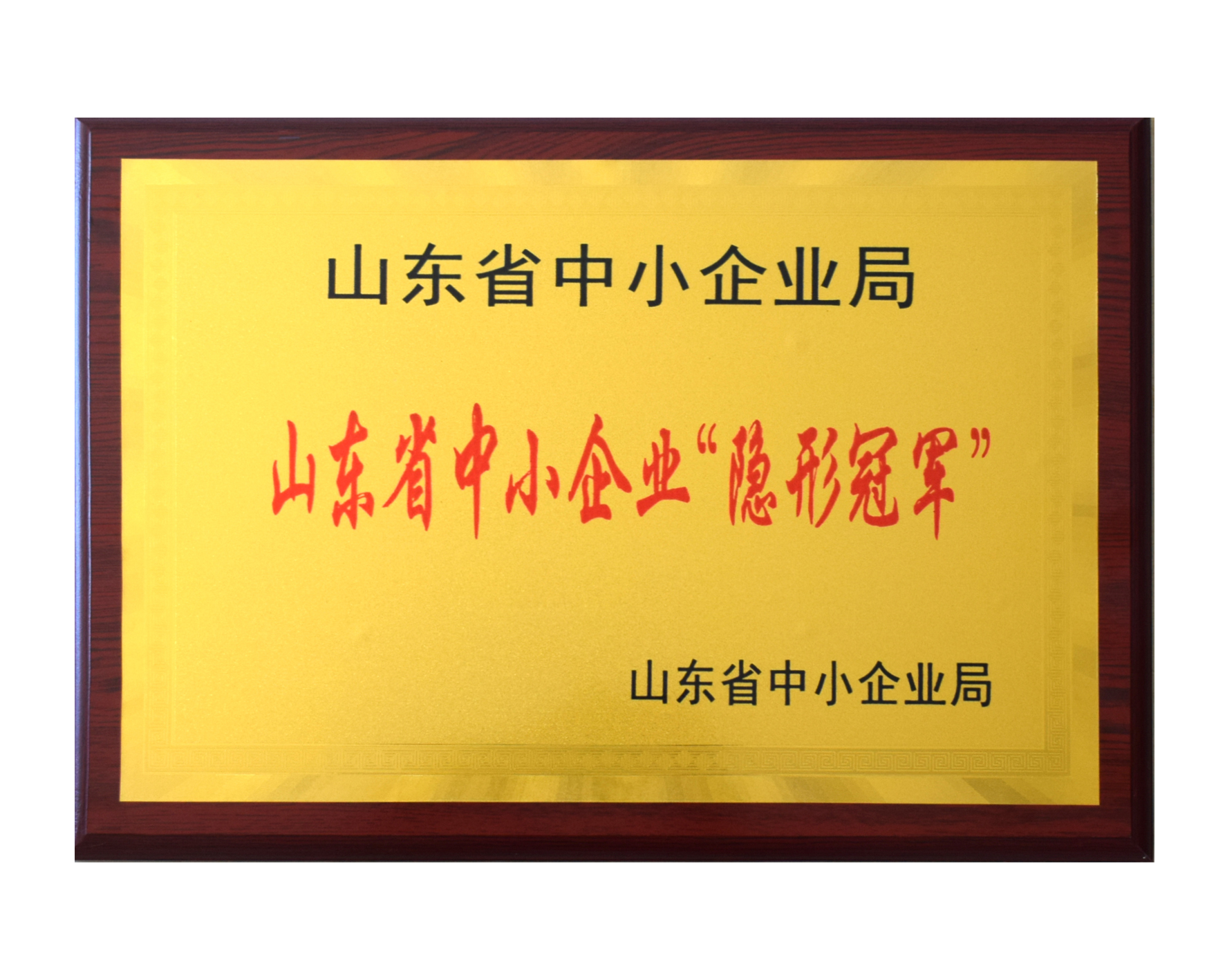 山東省中小企業“隱形冠軍”企業